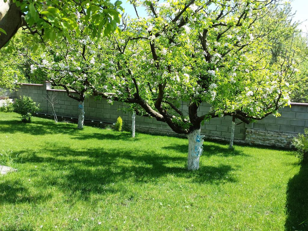 Villa Detelina Balchik Chambre photo