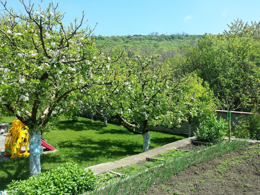 Villa Detelina Balchik Chambre photo